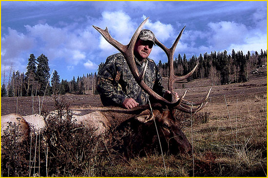 Elk Hunting